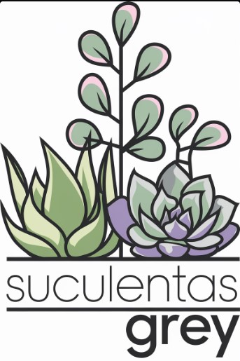 Logo Suculentas Grey